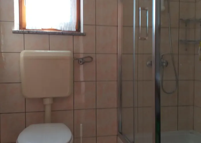 Ivankovic بريكو